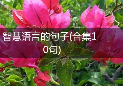智慧语言的句子(合集10句)