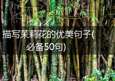 描写茉莉花的优美句子(必备50句)