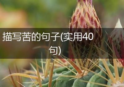 描写苦的句子(实用40句)