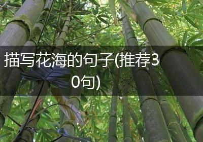 描写花海的句子(推荐30句)