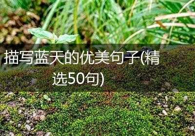 描写蓝天的优美句子(精选50句)