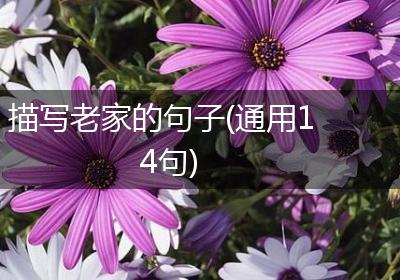 描写老家的句子(通用14句)