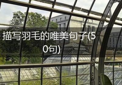 描写羽毛的唯美句子(50句)