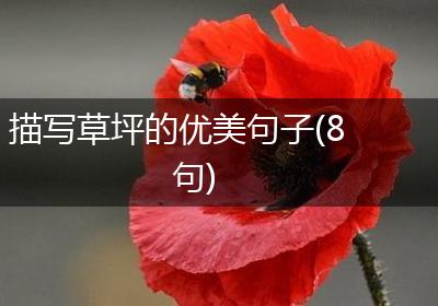 描写草坪的优美句子(8句)