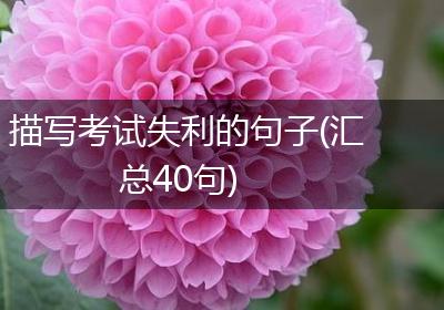 描写考试失利的句子(汇总40句)