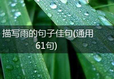 描写雨的句子佳句(通用61句)