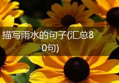 描写雨水的句子(汇总80句)