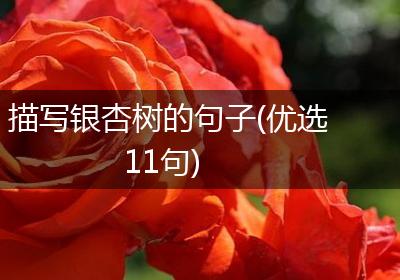 描写银杏树的句子(优选11句)