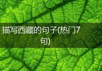 描写西藏的句子(热门7句)