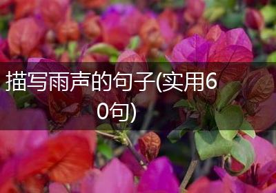 描写雨声的句子(实用60句)