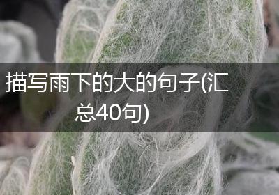 描写雨下的大的句子(汇总40句)