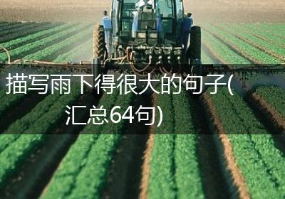 描写雨下得很大的句子(汇总64句)