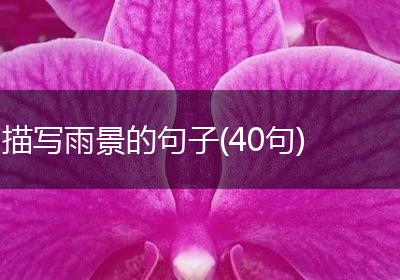 描写雨景的句子(40句)