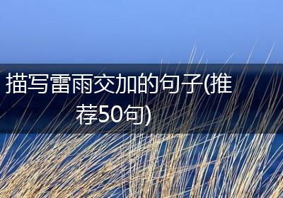 描写雷雨交加的句子(推荐50句)