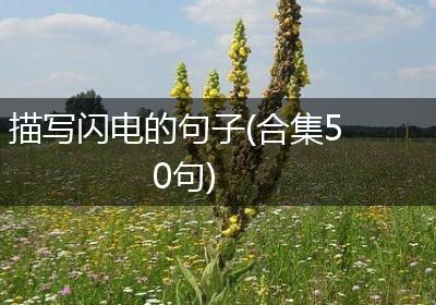 描写闪电的句子(合集50句)