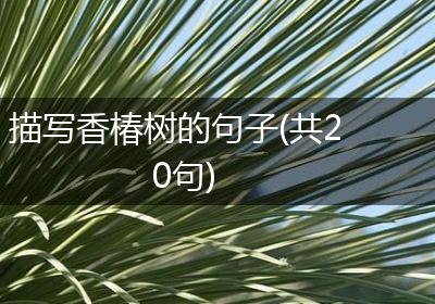 描写香椿树的句子(共20句)