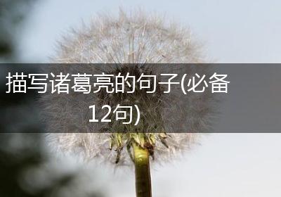 描写诸葛亮的句子(必备12句)