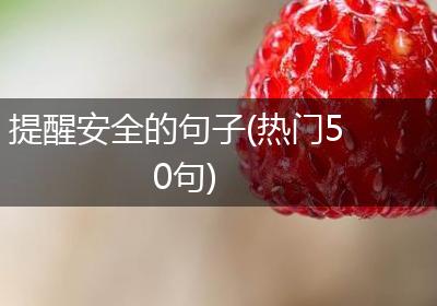 提醒安全的句子(热门50句)