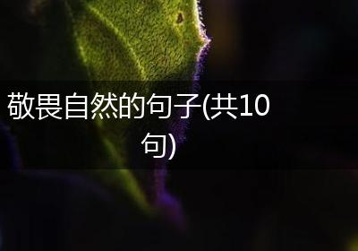 敬畏自然的句子(共10句)