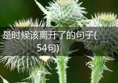 是时候该离开了的句子(54句)