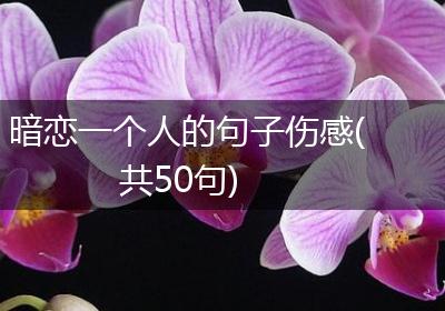 暗恋一个人的句子伤感(共50句)