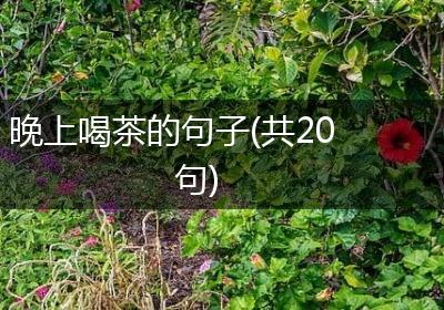 晚上喝茶的句子(共20句)
