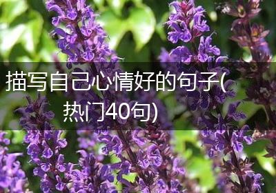 描写自己心情好的句子(热门40句)