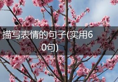 描写表情的句子(实用60句)