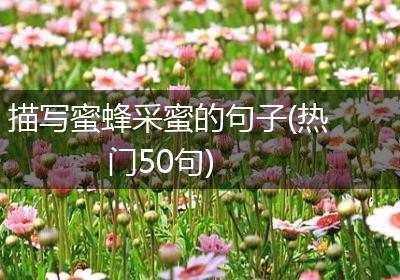 描写蜜蜂采蜜的句子(热门50句)