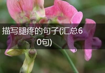描写腿疼的句子(汇总60句)