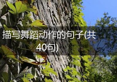描写舞蹈动作的句子(共40句)