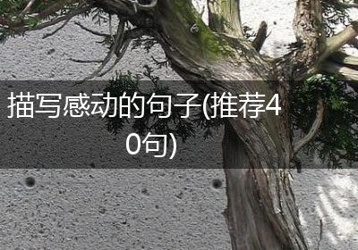 描写感动的句子(推荐40句)