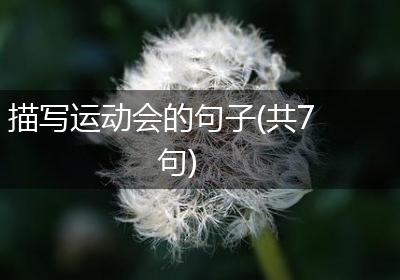 描写运动会的句子(共7句)