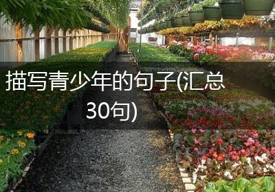 描写青少年的句子(汇总30句)