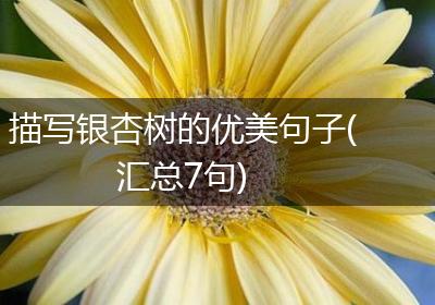 描写银杏树的优美句子(汇总7句)