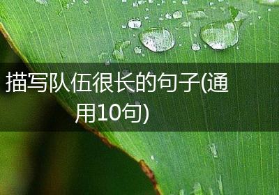 描写队伍很长的句子(通用10句)