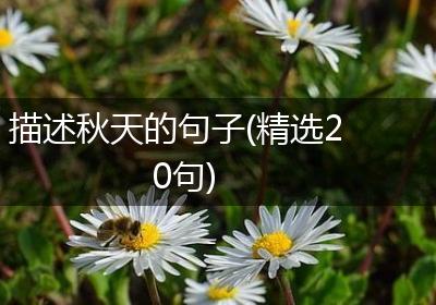 描述秋天的句子(精选20句)