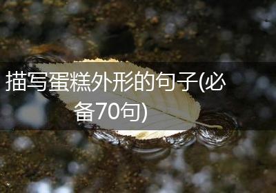 描写蛋糕外形的句子(必备70句)