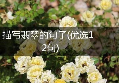 描写翡翠的句子(优选12句)