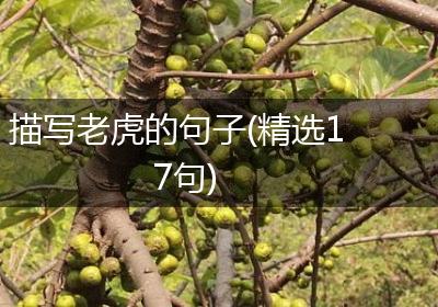 描写老虎的句子(精选17句)