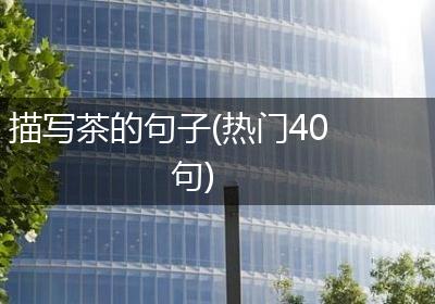 描写茶的句子(热门40句)