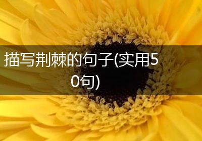 描写荆棘的句子(实用50句)