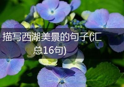 描写西湖美景的句子(汇总16句)
