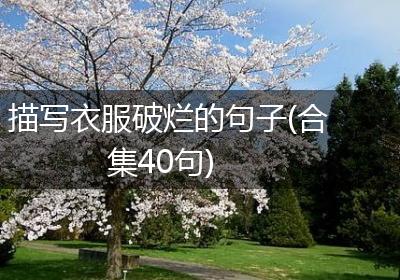 描写衣服破烂的句子(合集40句)