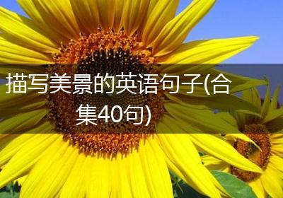 描写美景的英语句子(合集40句)