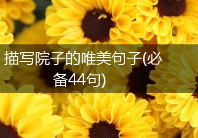 描写院子的唯美句子(必备44句)