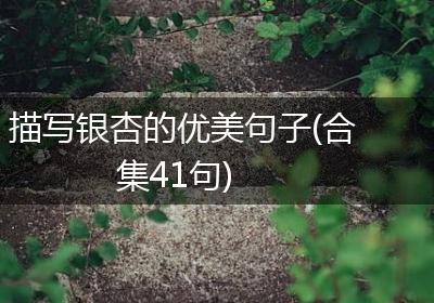 描写银杏的优美句子(合集41句)