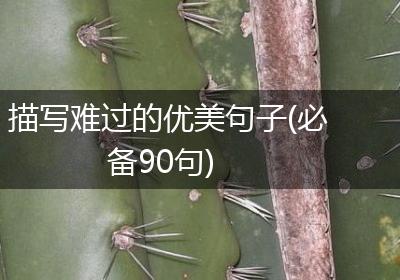 描写难过的优美句子(必备90句)