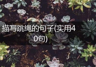 描写跳绳的句子(实用40句)