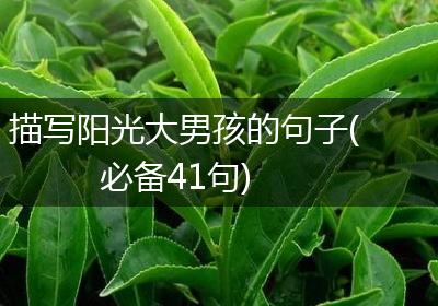 描写阳光大男孩的句子(必备41句)